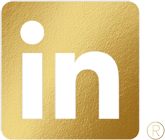 The Yacht Boutique LinkeIn